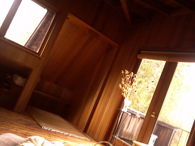 &nbsp;[[ camera view with head tilted left ]]&nbsp;