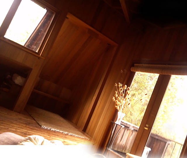 &nbsp;[[ eye view with head tilted left ]]&nbsp;