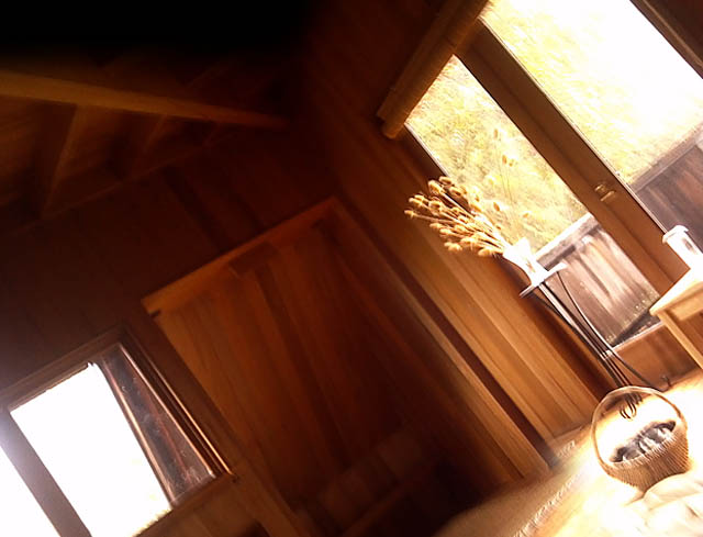 &nbsp;[[ eye view with head tilted right ]]&nbsp;