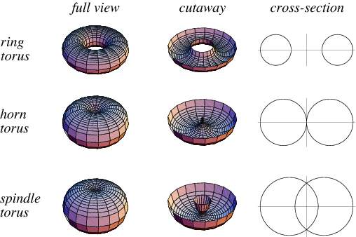 &nbsp;[[ Torus Variants ]]&nbsp;
